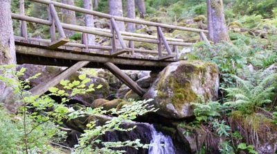 randonnée pont bois foret